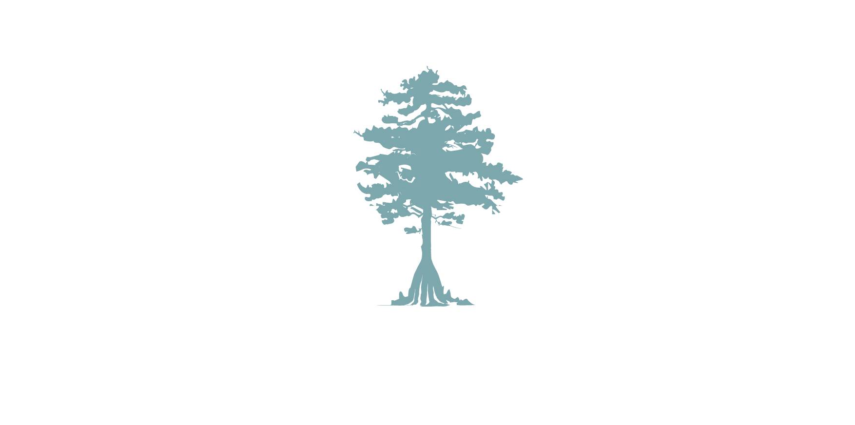 Coastal Cypress logo_primary, white & teal Coastal Cypress logo_primary, white & teal